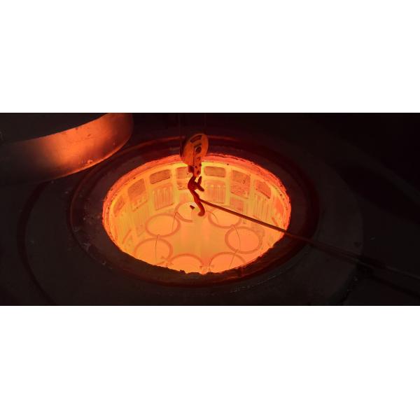 7700520332 117 Teeth Fly Wheel Ring Gear For 12 TOROS R4 / 6 / 12