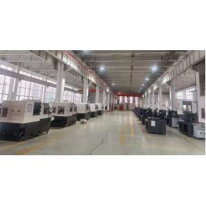 shandong lu young machinery co.,ltd