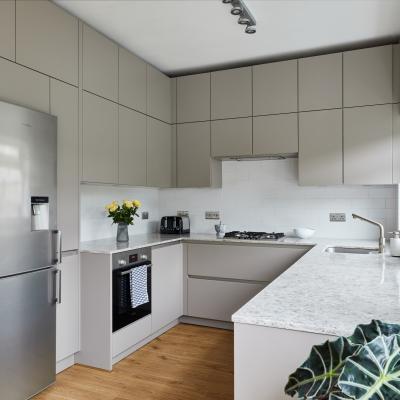 Plywood Lacquer Kitchen Cabinet Modern Modular Kitchen Cabinets Moisture Proof