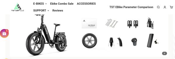 Family Cargao 20''*4.0 Electric Bike 1500W Motor 48v Moped-style Fat Tire Brushless Disc Power Lithium Battery