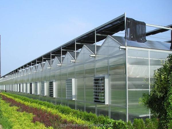 Super Strong Resistance Polycarbonate Greenhouse Full Set for Commercial Agriculture