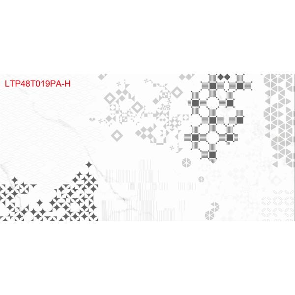 размер см 40X80 застеклил скорость поглощения плиток мрамора Каррары фарфора чем 0,05%