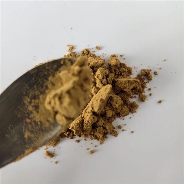 Gmp Certificate Belvedere Fruit Extract For Purge