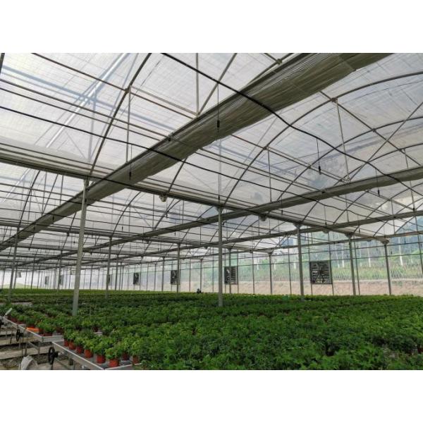 Plastic Film Commercial Glass Greenhouse For Strawberry Tomato Lettuce
