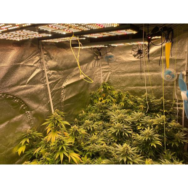 СИД инфракрасн 720w Samsung Hydroponic УЛЬТРАФИОЛЕТОВОЕ растет светлый полный спектр для завода цветка