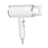 Hair Dryer Temperature Adjustable 2300W Powerful Blower With Blue Light Overheating Protection