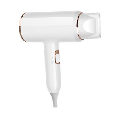 Hair Dryer Temperature Adjustable 2300W Powerful Blower With Blue Light Overheating Protection