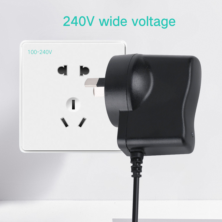 OEM электропитания переходника 4.2V 1A силы стены DC AC 50g/ODM