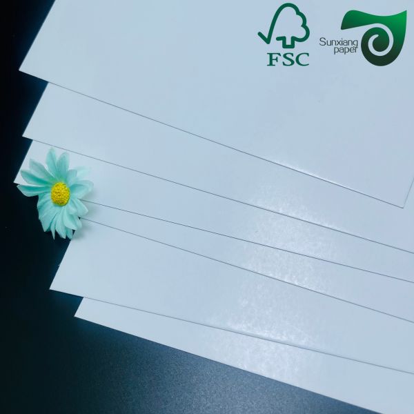 FSC Certified 170gsm 200gsm Double Side Glossy Matte Coated Paper  Ideal For Color Prints
