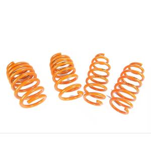 Two Wheel Sport Tesla Model 3 Lowering Springs Flexible