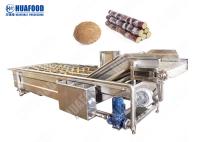 Máquina de lavar vegetal automática da bolha de ar do ozônio para a salada do aipo do tomate