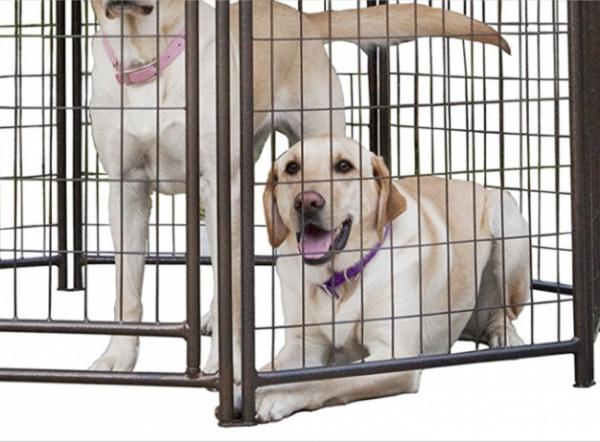 Powder Coating Metal Outdoor Dog Kennel House With Waterproof Cover