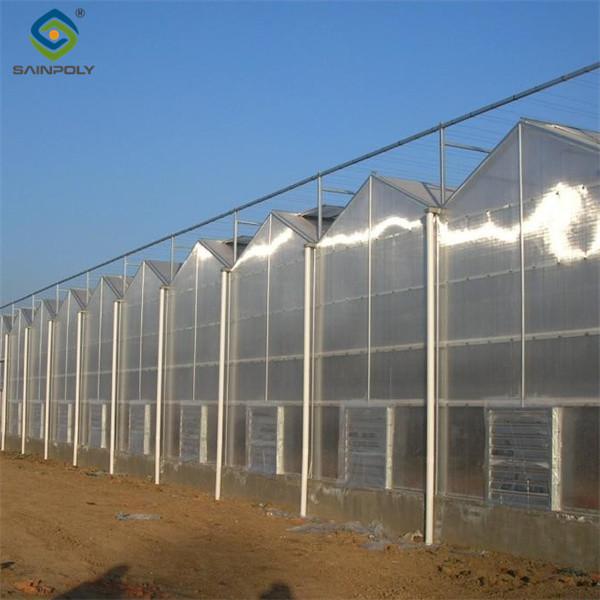 Serre à polycarbonate agricole à longue portée de type Venlo