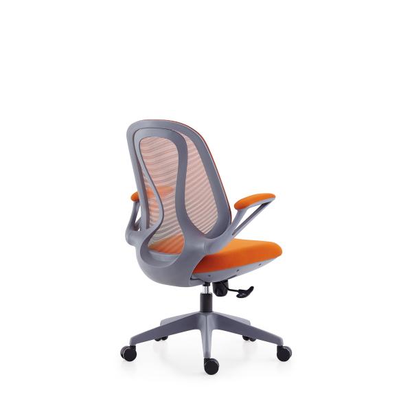 BAILI Multifunction Ergonomic Swivel Chair 3 Years Quality Warranty