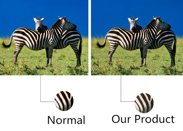 Full Colour Led Video Wall Rental , Outdoor Led Screen For Car Show / Stage