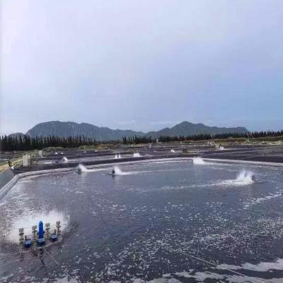 Contemporâneo 0,75mm Geomembrane Liner para impermeabilização lagoas barragens e piscinas