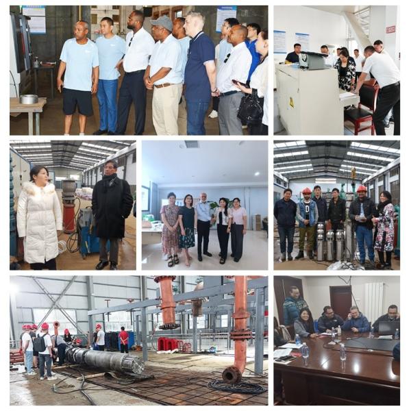 220V 380V Stainless Steel Borehole Submersible Water Pump for Irrigation High Efficiency Corrosion-Resistant, Reliable Pumping Solution