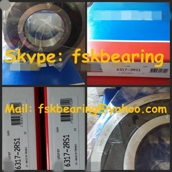Single Row 6317 2RS1 Sealed Waterproof Bearing Z2V2 Z3V3