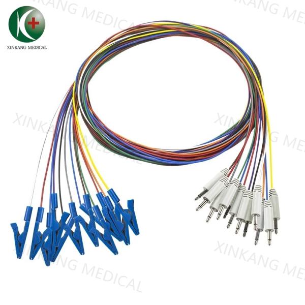 Diameter 10mm EEG Cables International 10-20 System Electrode Placement