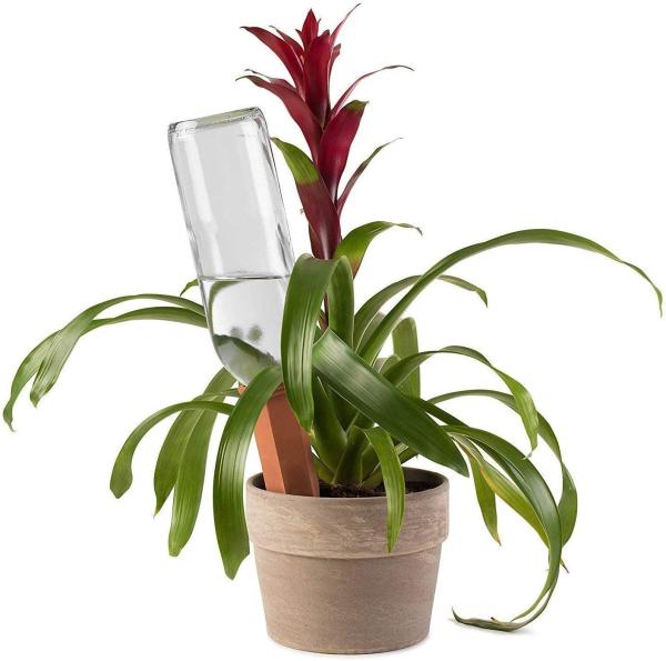 18cm Terracotta Watering Spikes