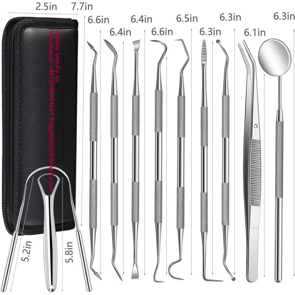 Dental Examination Kit Optional Pieces Stainless Steel Probe & Scaler Diagnostic Instrument Dental Surgical Tool Box Tongue Scraper Tartar Plaque Remover Tooth Cleaner Dental Floss Pick Mouth