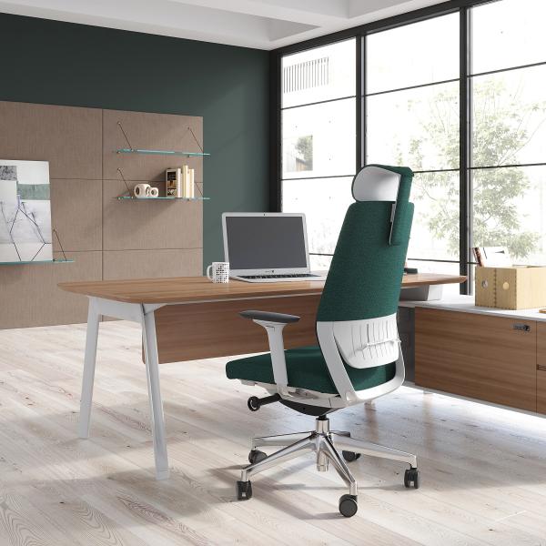 High Back Ergonomic Modern Adjustable Office Chair RAL Color Wear Resistant