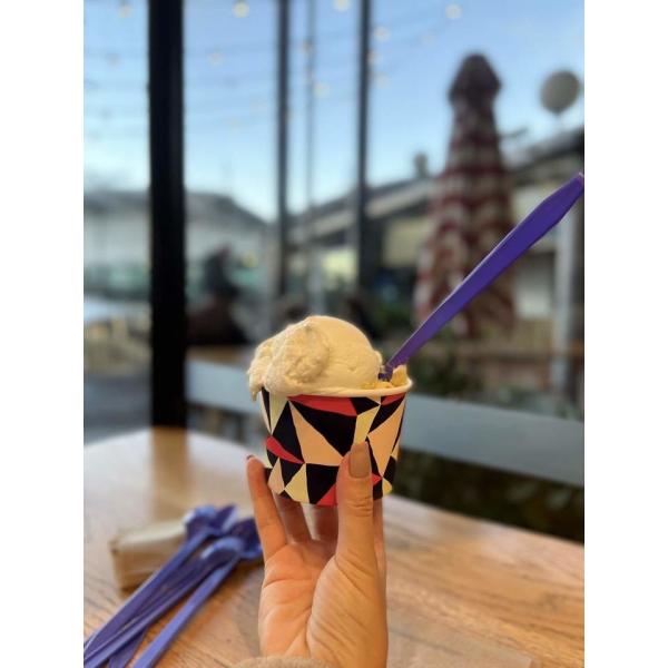 Food Grade ECO Ice Cream Spoons PLA Cutlery Based Bioplastic Disposable