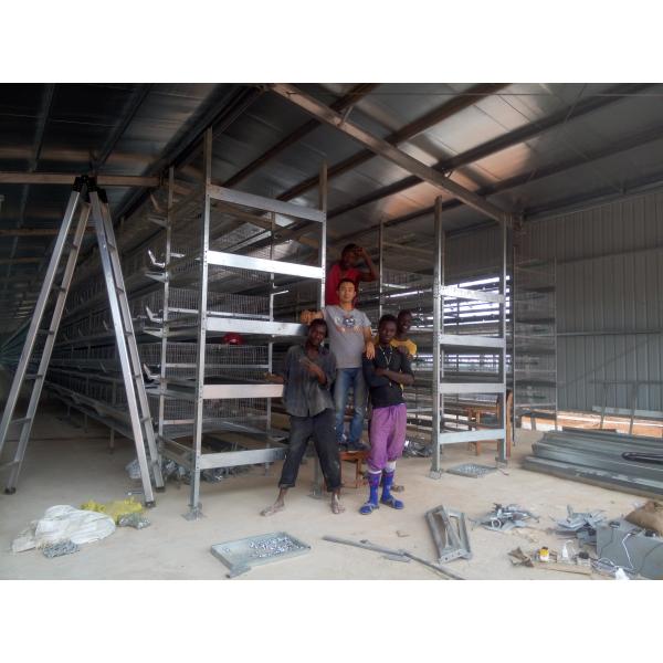 60 Days Baby Chicken Galvanized Multi Poultry Broiler Cage Chicken Raising