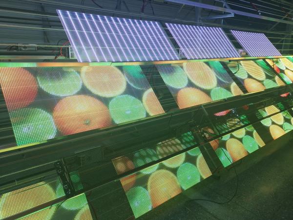 Indoor advertising Flexible Transparent Display Screen P6 LED Display Film