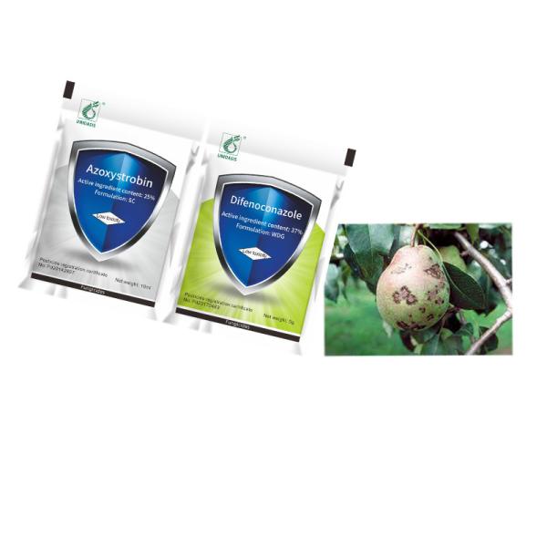 Agrochemical Bactericide 25% Azoxystrobin SC 37% Difenoconazole WDG Treat Grape