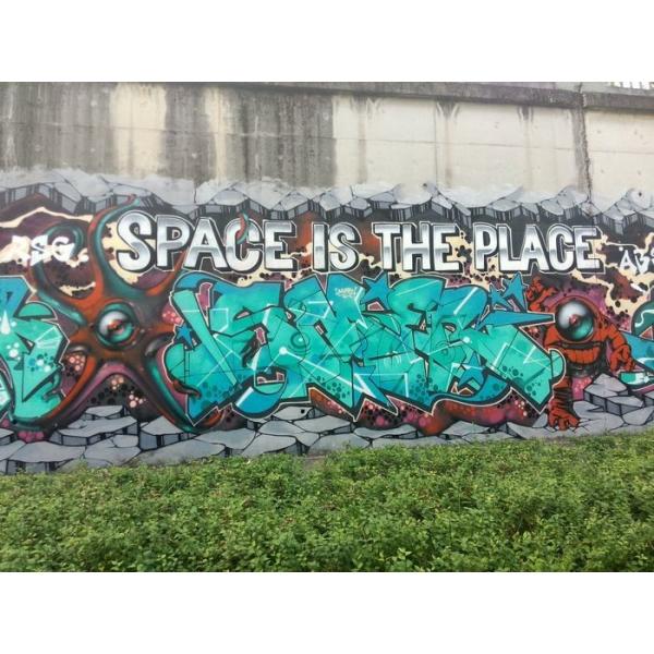 Высокая краска для пульверизатора граффити тарифа брызг может/красочный спрейер краски искусства