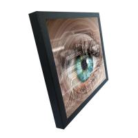 Monitor 1024*768 do toque de VESA Mounting LCD para o uso industrial
