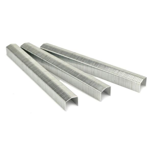 ISO Standard Air Staple Stcr5019 Серия 20 Размер 11,60 мм Корона 10 мм Мебельная сцепка