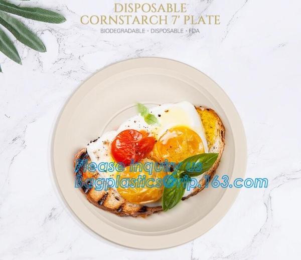 9inch Round White Dessert Bagasse Sugarcane Biodegradable Corn Starch Disposable Plate,Sugarcane Bagasse Plates bagease