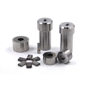 Tungsten Carbide Die