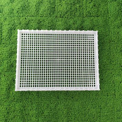 Sturdy Yellow Poultry Crate Easy Assembly Long Distance Safe Chicken Transport Crates
