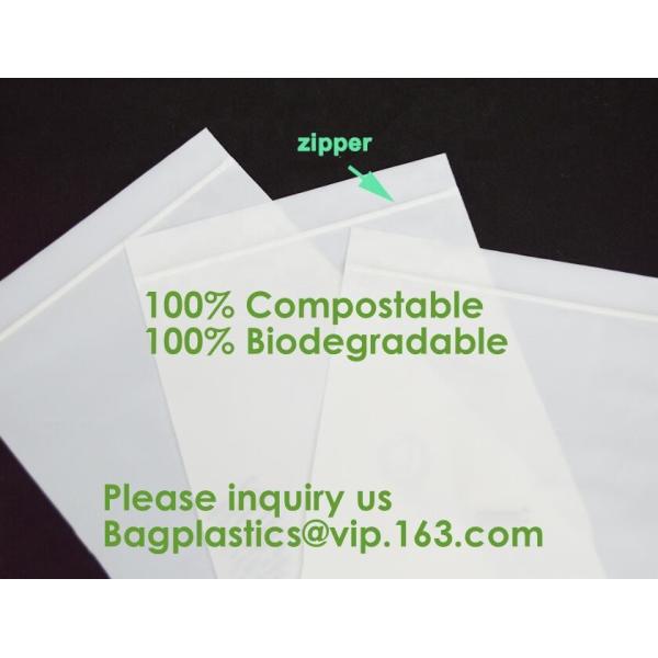 Compostable Large GALLON Zip Bag, Resealable Extra Strength Biodegradable Bags, Made From Plant Materials