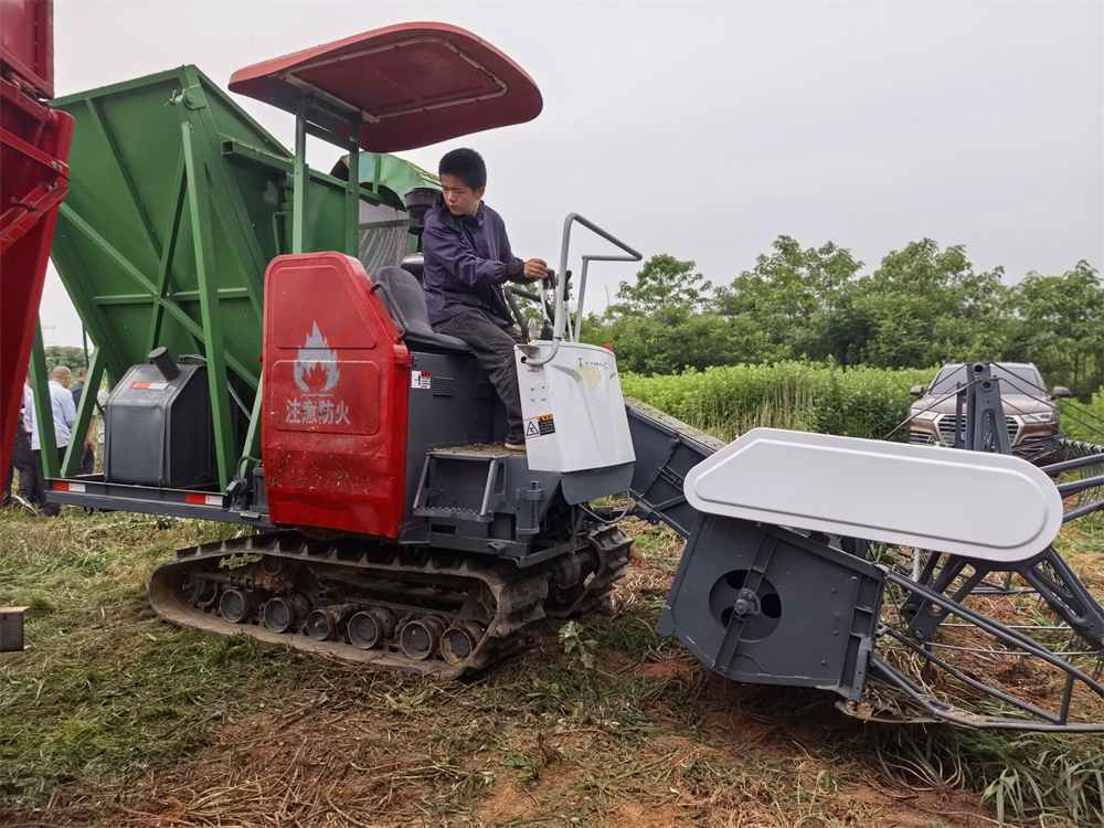 Hubei Yishiyuan Chinese Mugwort Biotechnology Company Limited