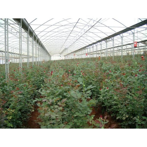 clear plastic sheet ,max widht 14m ,100um-200um greenhouse film