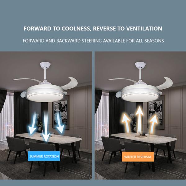 Siesi Simple 96W 500mm Modern Retractable Ceiling Fan With LED Light