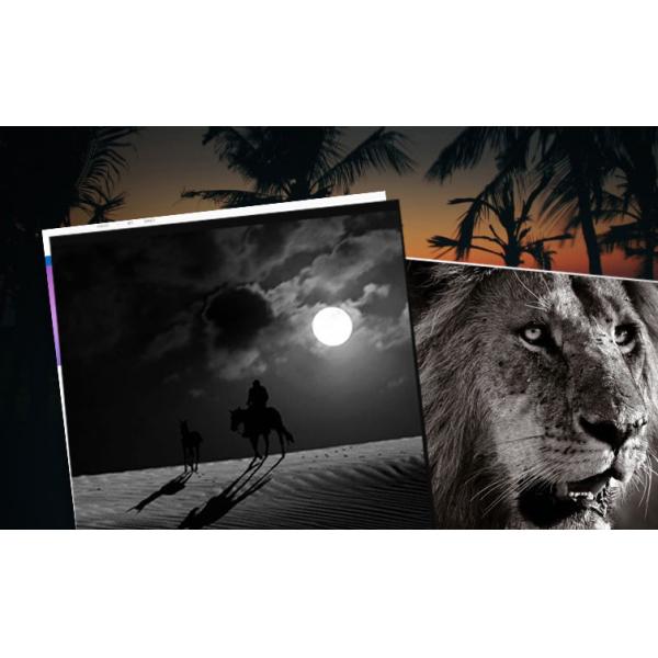 Cartucho de tonalizador TK1110 para a impressora Fs de Kyocera - 1040/1020MFP/1120MFP, baixo desperdício