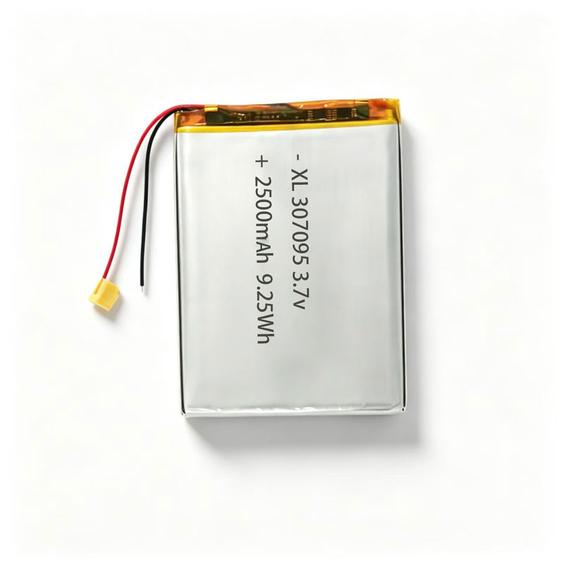 Rechargeable Lithium Polymer Battery 307095 3.7V 2500mAh Replacement Battery for Tablets and Consumer Electronics