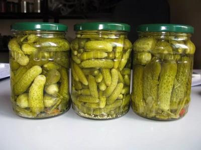 O pepino dos tambores de salmoura da qualidade superior/pepino salgado das salmouras range plástico