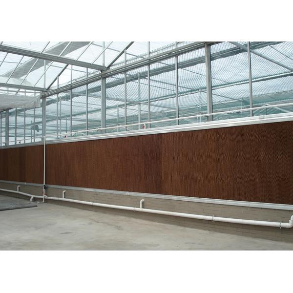 Ultra-Transparent, Sturdy Galvanized VENLO Glass Greenhouses - Ideal For High-Value Flower Cultivation
