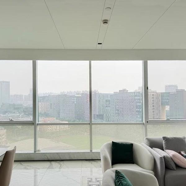 High Quality Aluminum French Up And Down Sliding Aluminum Screen Windows Single Hung Aluminium Alloy Doors And Windows