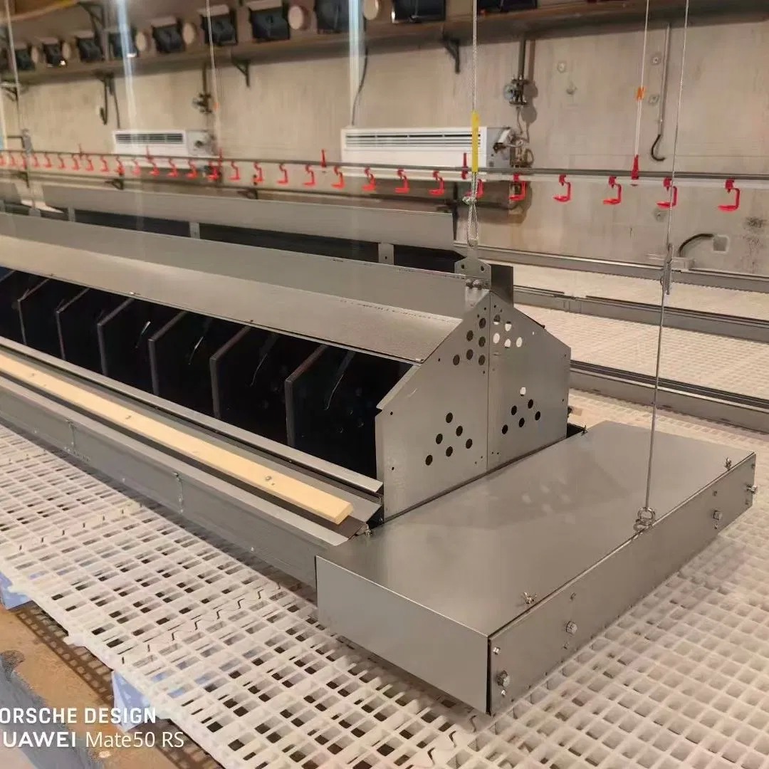 Hen Friendly Design Automatic Nest Box For Poultry Breeding And Egg Production