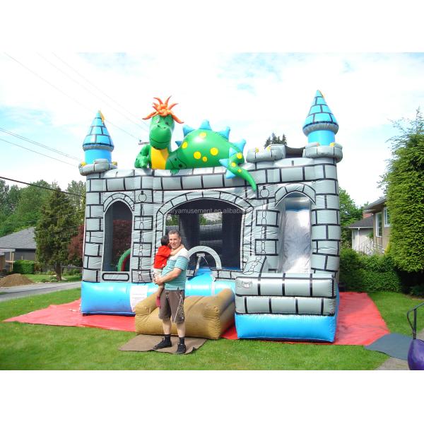 Certificate EN71/CE Inflatable Castle Slide Combo Jumping Bouncy Castle with Slide
