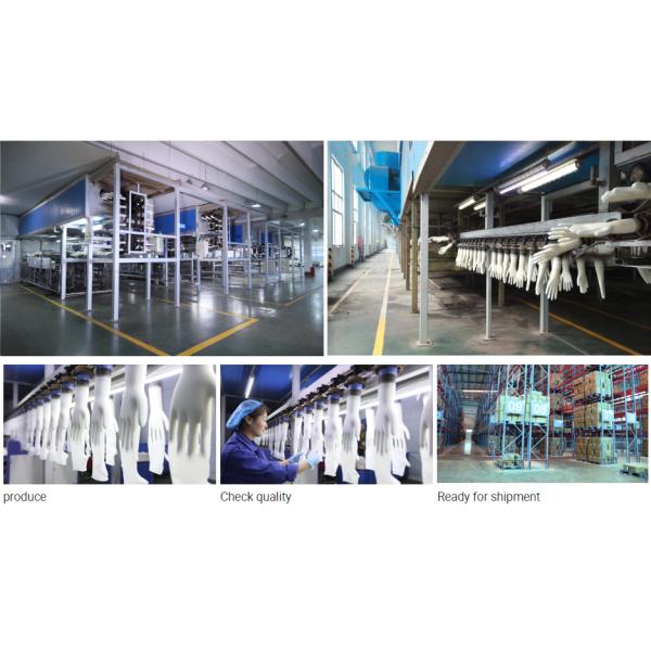 Jiangsu Champion Supply Chain Management CO.,LTD