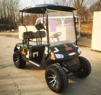 Voiture de golf utilitaire à 2 places 30 km/h Automatique légère électrique alimentée par batterie