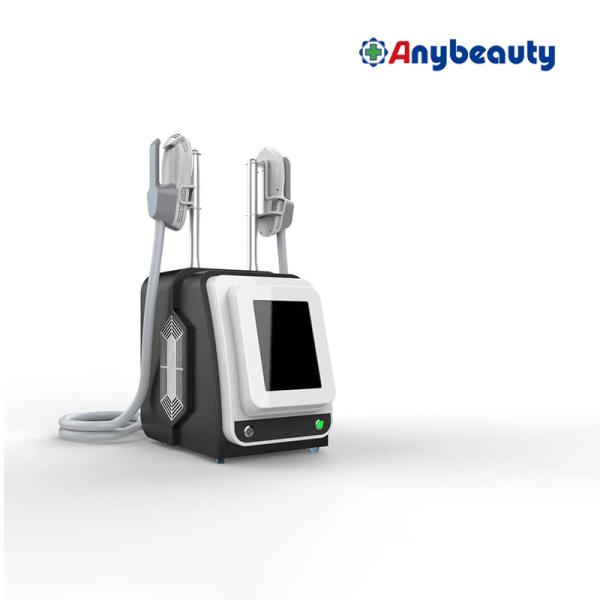 FDA Spa Beauty Abs Ems Machine Professional For Weight Loss